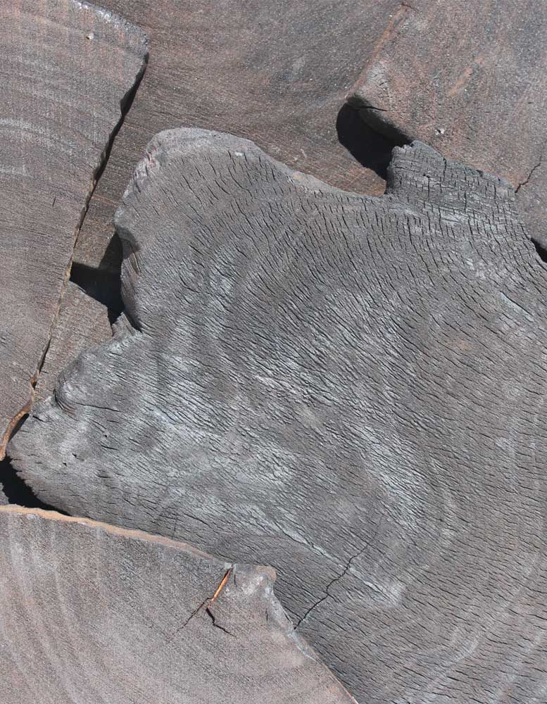 wandpaneele-holz-eukalyptus-verkohlt-eukalyptus-bits