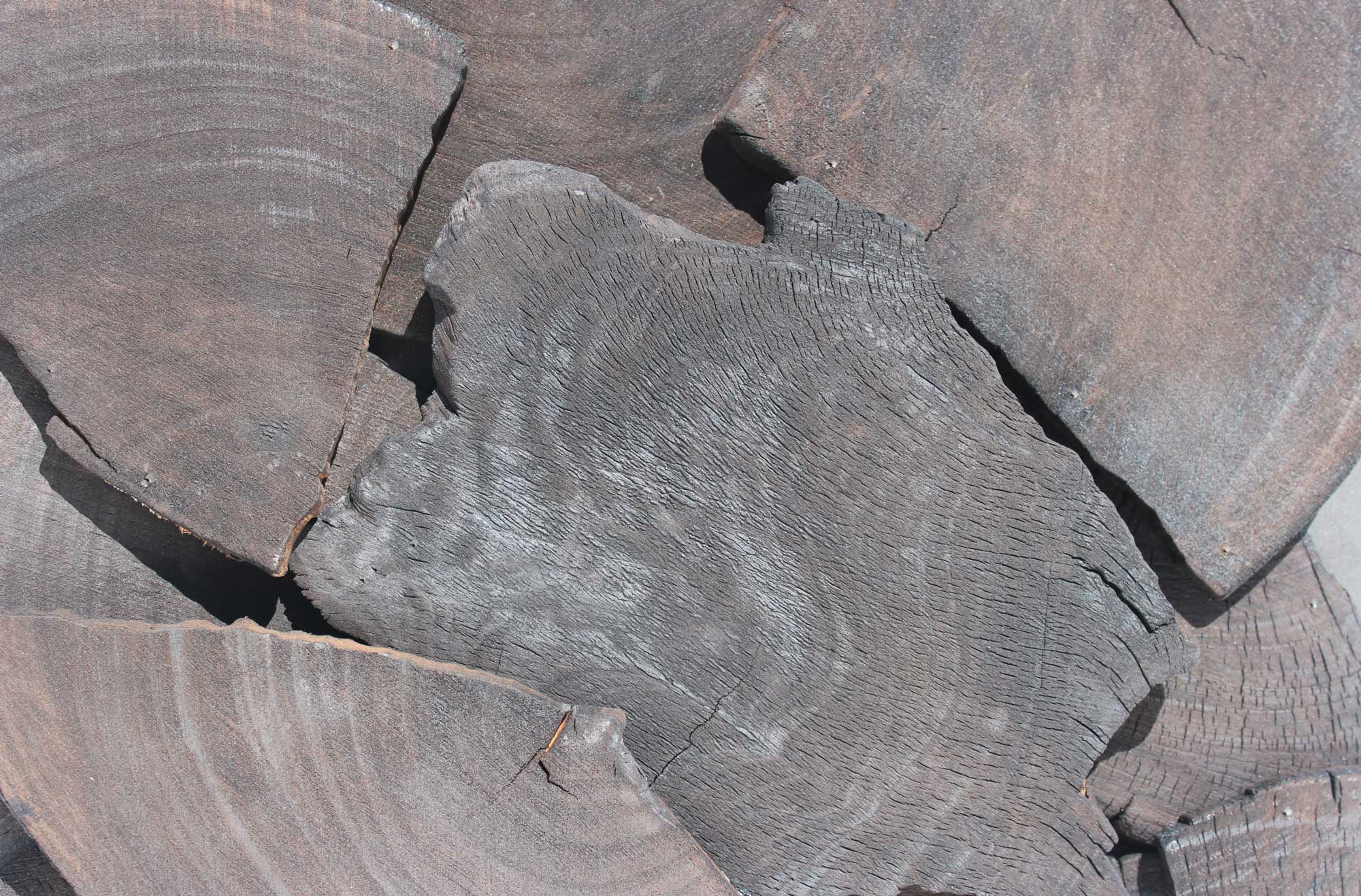 wandpaneele-holz-eukalyptus-verkohlt-eukalyptus-bits