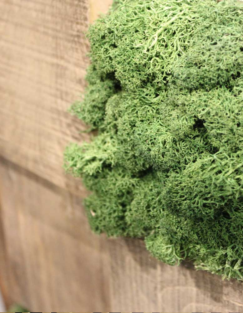 wandpaneele-mix-kastanie-recycelt-moos-gruene-lunge