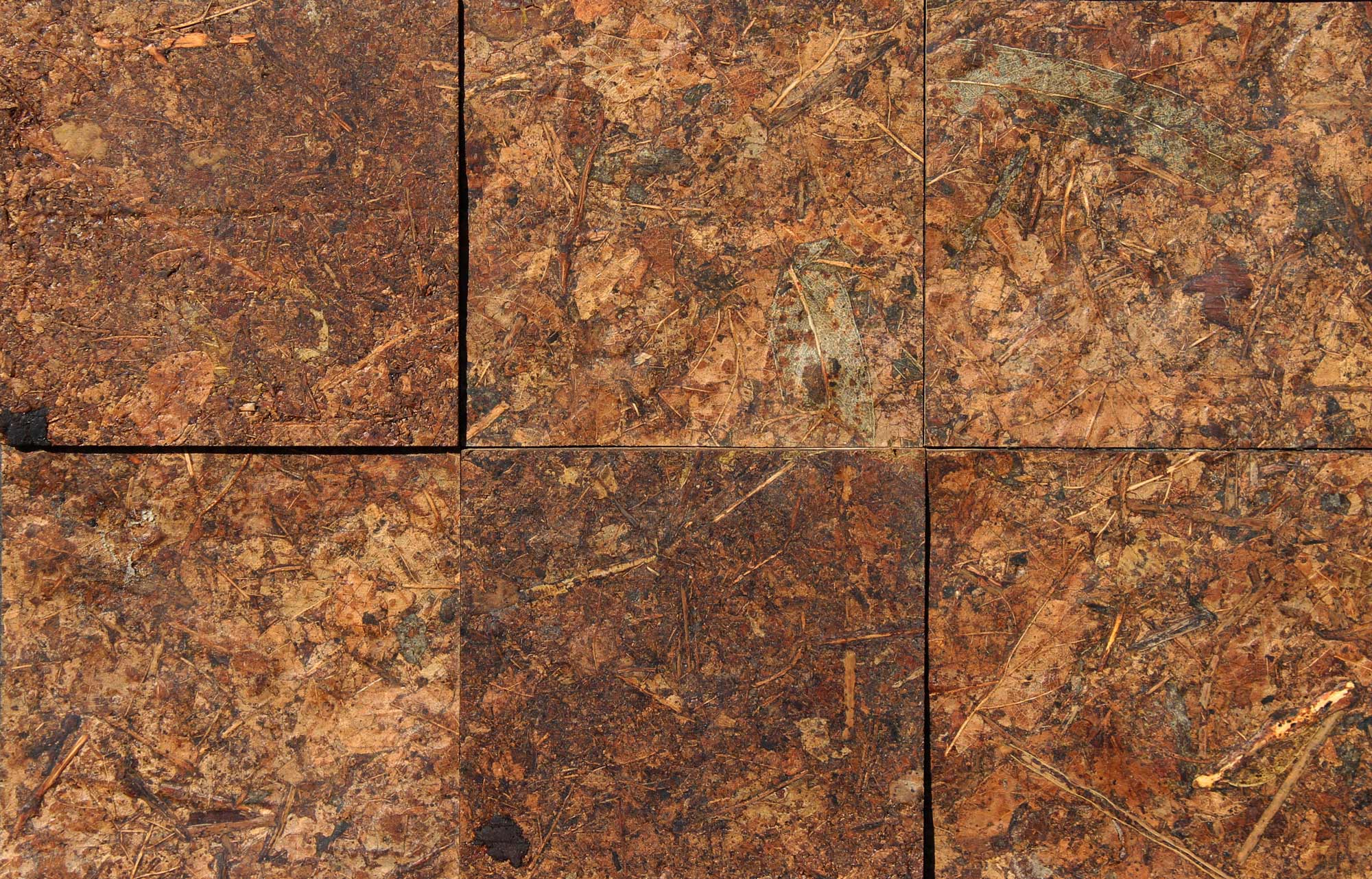 wandpaneele-mix-herbstblaetter-holz-harz-blaetterwald