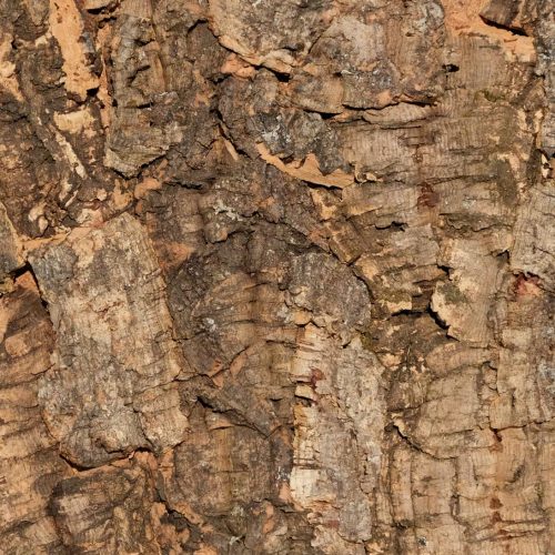 wandpaneele-kork-gruen-braun-naturfarben-macho-bark
