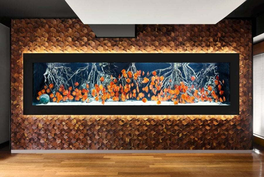 impressionen-wandgestaltung-the-age-of-aquarium-4