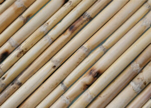 wandpaneele-holz-bambus-natur-bambus-kuss